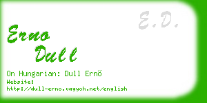 erno dull business card